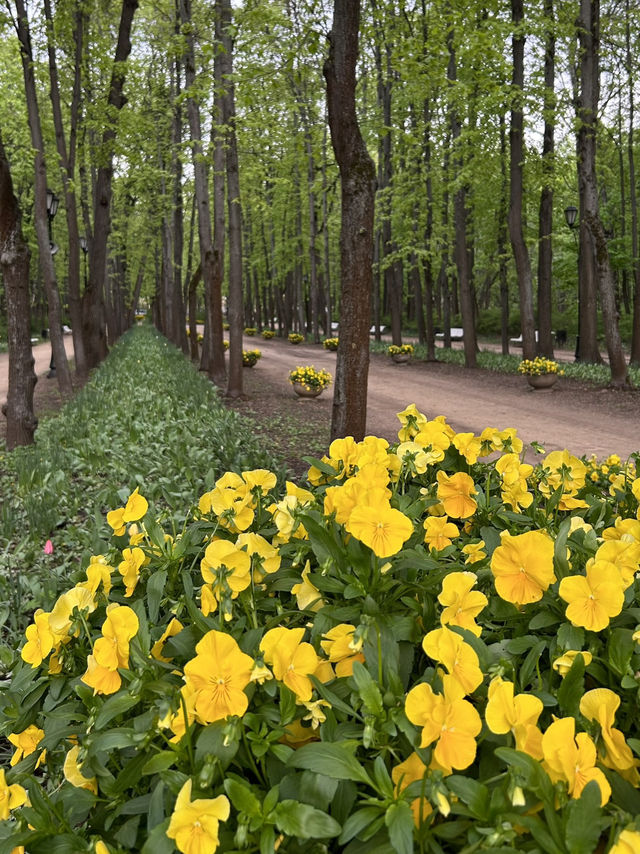 A perfect place for spring walks in Moscow