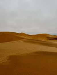The Secret Life in the Desert — Living Desert Tour in Namibia 🏜️