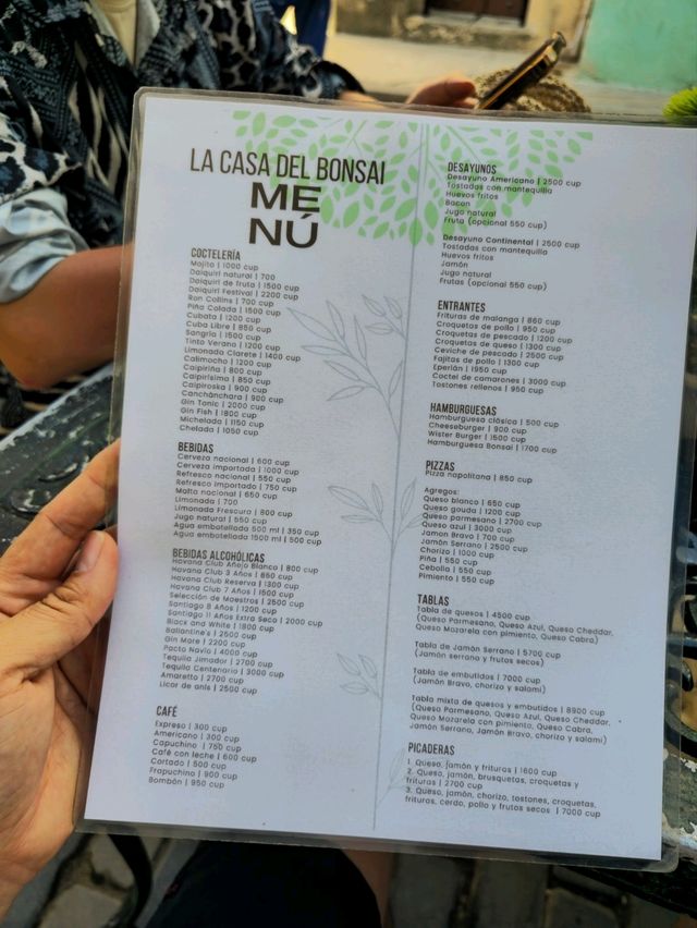 해외여행 올드하바나 올드스퀘어 카페 La Casa del Bonsái