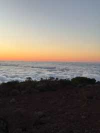 Tenerife South