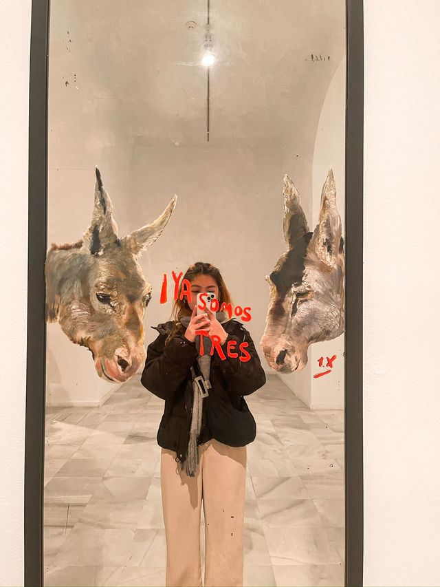 Where Art Gets Political: The Museum That Hits Different