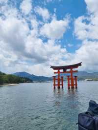 🌸 Jaw Dropping Japan - Shrines, Train Lines & Bovine.