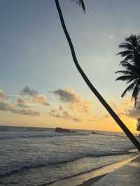 Galle Getaway: Ocean Vibes & Oyster Deli