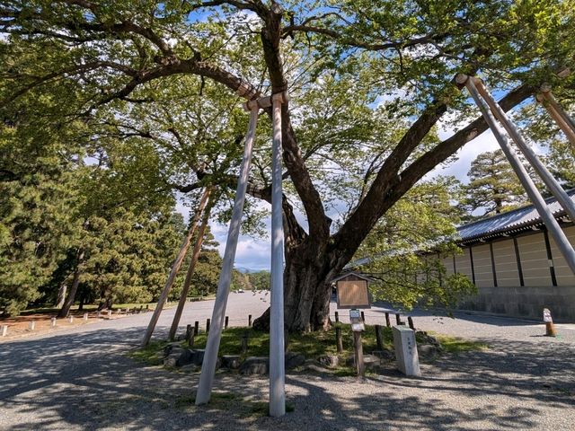 The Best 3 Days in Kyoto