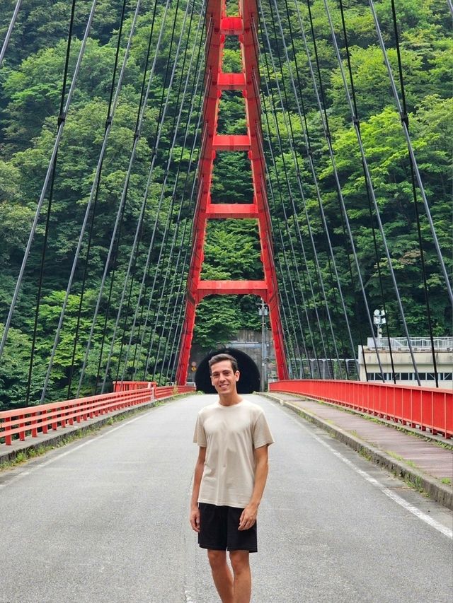 Toyama: Gateway to the Northern Alps and Nature’s Quiet Majesty