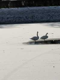 A Winter Waltz in Munich and Innsbruck