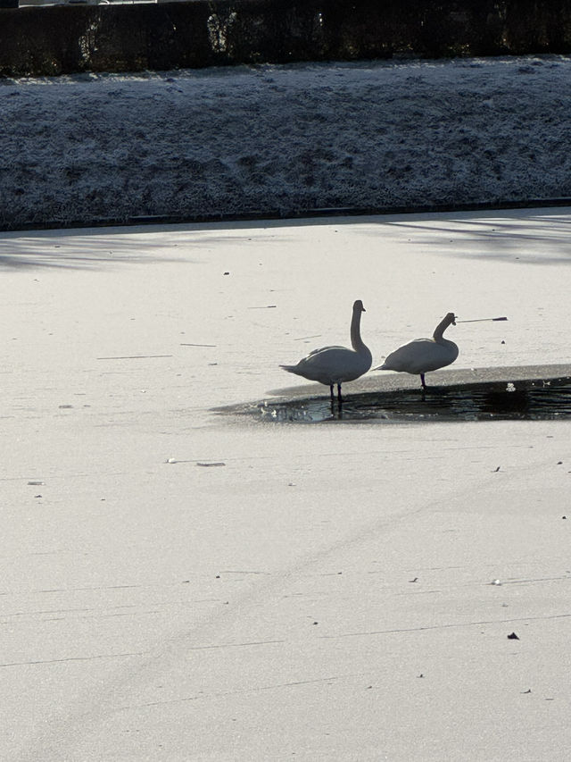 A Winter Waltz in Munich and Innsbruck