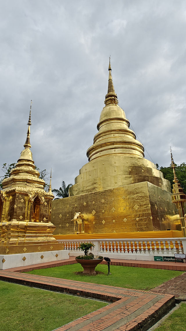 Temples, Nature & Cafés: Why Everyone Falls for Chiang Mai 🏯🌿☕