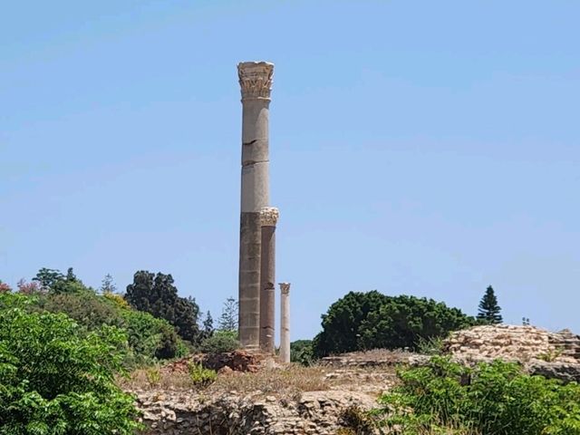 Carthage - Roman Ruins of Tunis,Tunisia