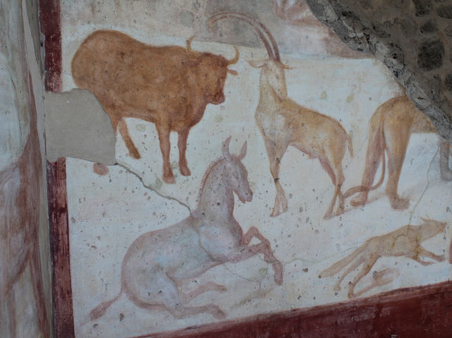 A city frozen in time for nearly 2,000 years! 