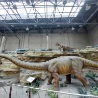Dinosaurs, nice exhibitions in Natural History Museum of China 