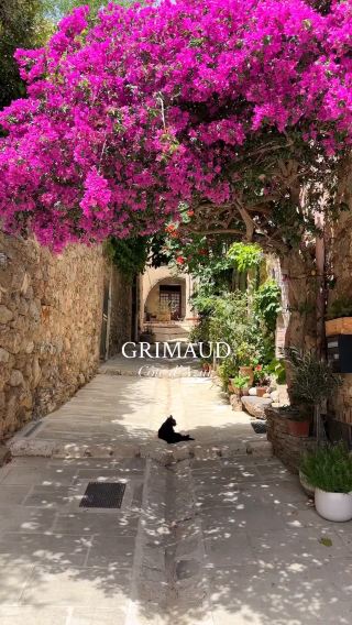 🏰 Grimaud: A Hilltop Medieval Treasure Above the Riviera 🇫🇷🌿