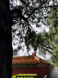 Temple of Earth Park