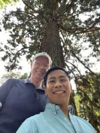Summer dreams in bloom at Insel Mainau 