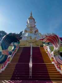 🐊 Wat Paichorake – The Crocodile Temple of Wonder