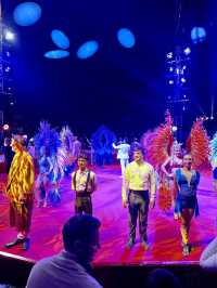Karlsruhe Weihnachtscircus: Where Holiday Magic Meets Spectacular Wonder! ✨🎪  