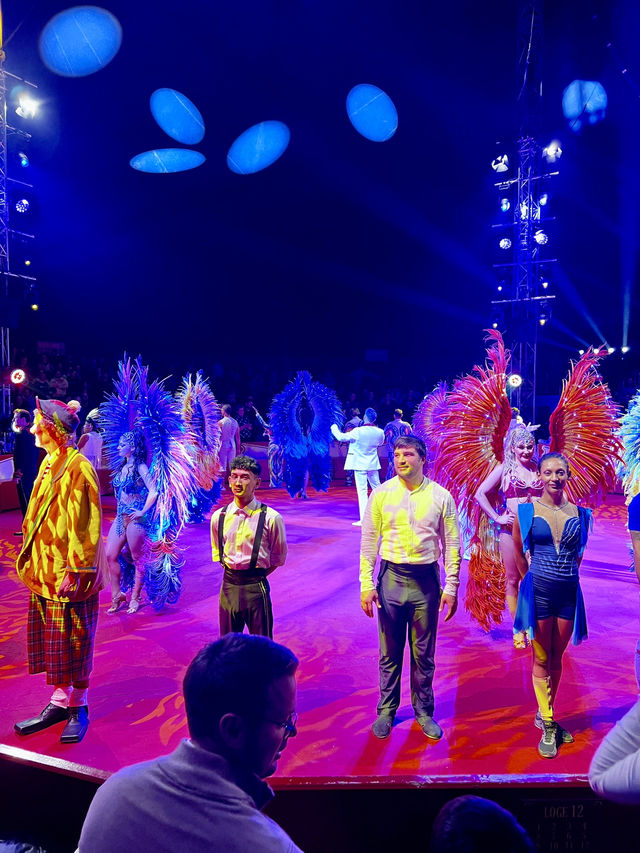 Karlsruhe Weihnachtscircus: Where Holiday Magic Meets Spectacular Wonder! ✨🎪  