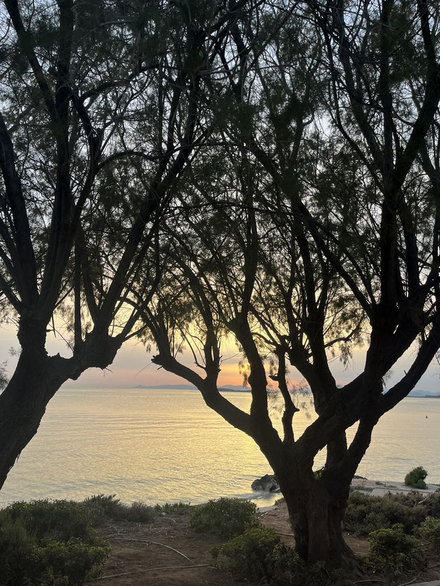 🌊☀️ #VouliagmeniVibes – A Hidden Gem Just Outside Athens 🇬🇷🍴