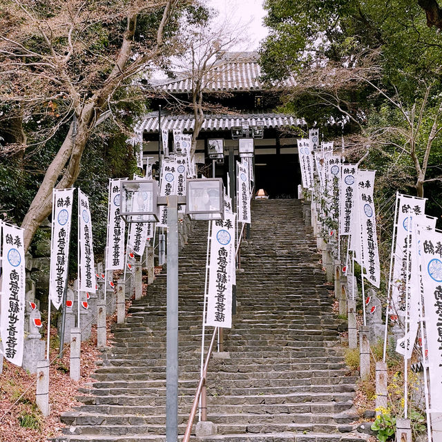 Tokyo to Nagoya: City Sights, History & Local Flavors