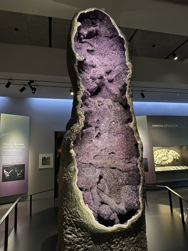 Exploring New York City: American Museum of Natural History & Times Square