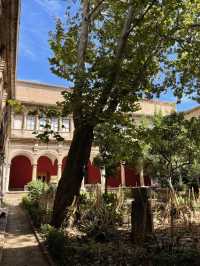 Valencia: Sun, Streets & Sea Breezes ☀️🏛️🌊