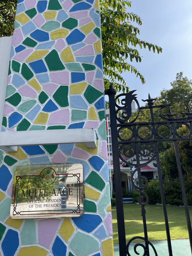 🏛️ Malé Architecture – A Blend of Tradition & Modernity 🌴✨