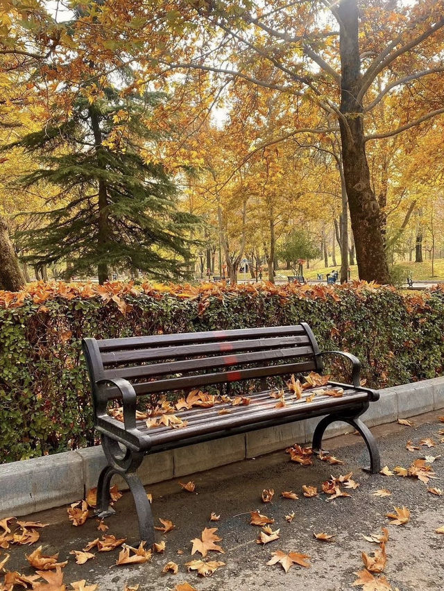 🌿 Park-e Mellat Tehran – A Calm Urban Escape 🍁✨ 🌿 Park-e Mellat Tehran – A Calm Urban Escape 🍁✨
