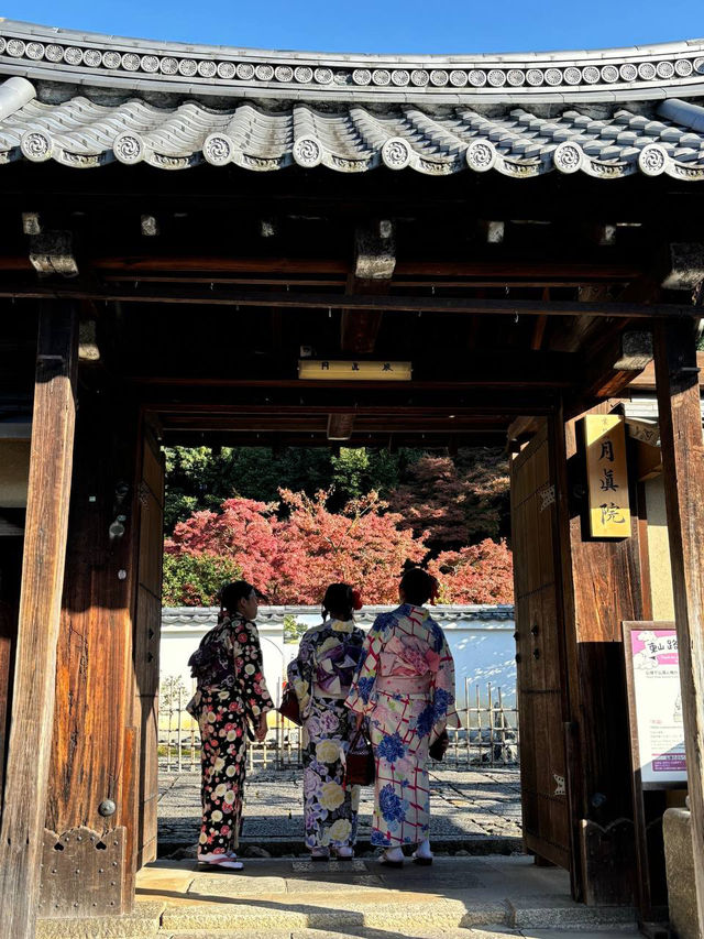 📍Киото. Маршрут на 1 день 🇯🇵 📍Киото. Маршрут на 1 день 🇯🇵