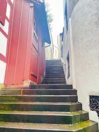 Riverside Strolls & Timeless Views: Basel Along the Rhein 🇨🇭