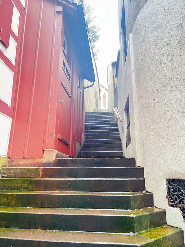 Riverside Strolls & Timeless Views: Basel Along the Rhein 🇨🇭 Riverside Strolls & Timeless Views: Basel Along the Rhein 🇨🇭