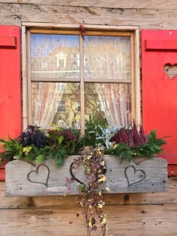 Bern’s Festive Glow✨