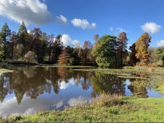 베지베리 국립 소나무 숲 및 삼림