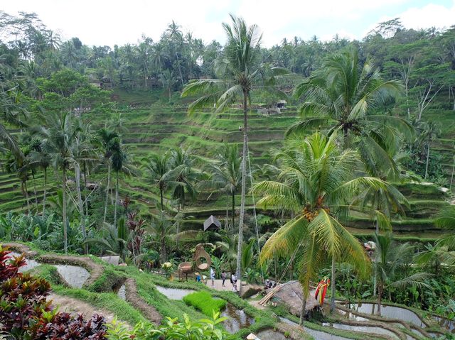 Insta worthy destination | Bali, Indonesia