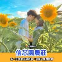 情侶七夕打卡熱點💌🎁拍拖必去