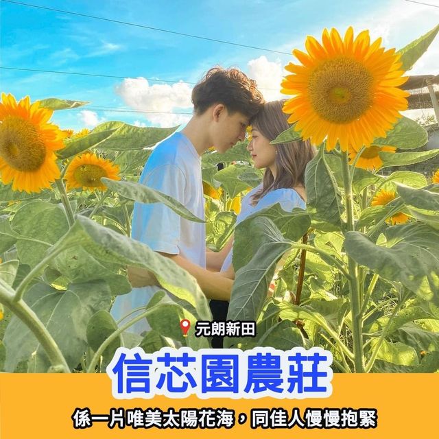 情侶七夕打卡熱點💌🎁拍拖必去
