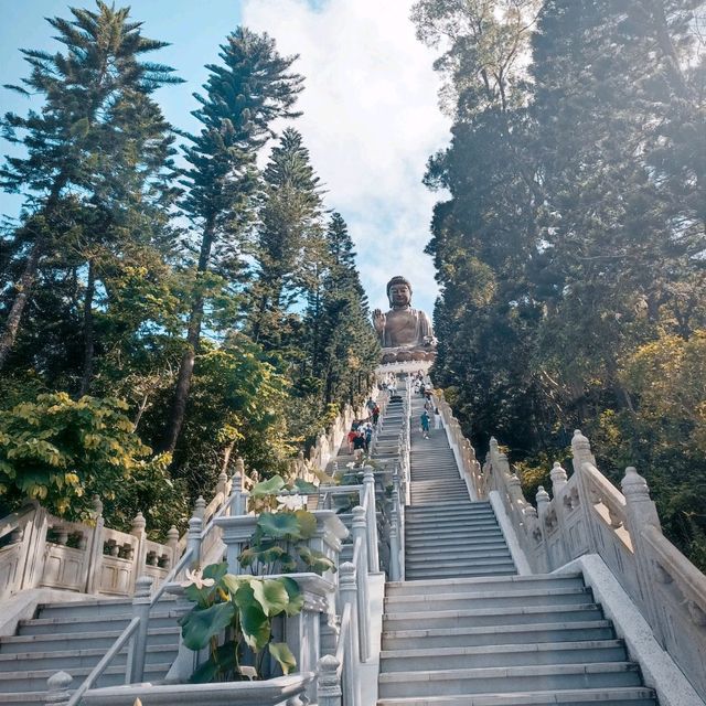 268 steps to see the Big Buddha! 😍