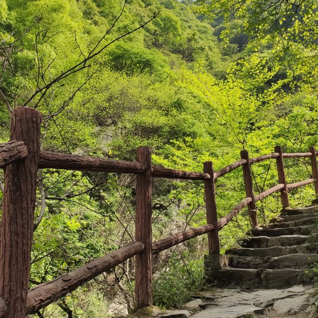 Cuihua mountain 