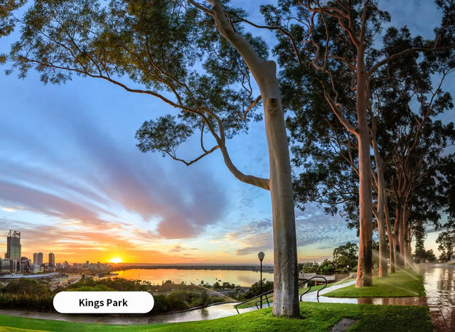 Explore Perth: Free Things to Do
