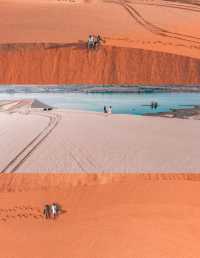 Mui Ne White Sand Dunes, all the fantasies about the desert 🏜️ and the sea 🌊