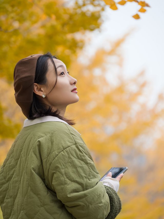 不騙人！已渲染99%！成都公園免費看銀杏