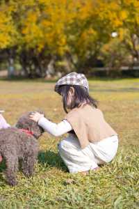 沒錯啊，這真是南湖公園啊！真被南湖公園給美哭啦！