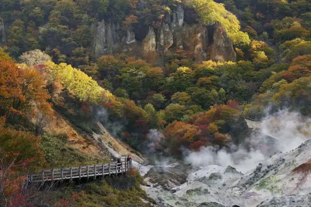 地獄谷｜熱い地に鹿が出没します