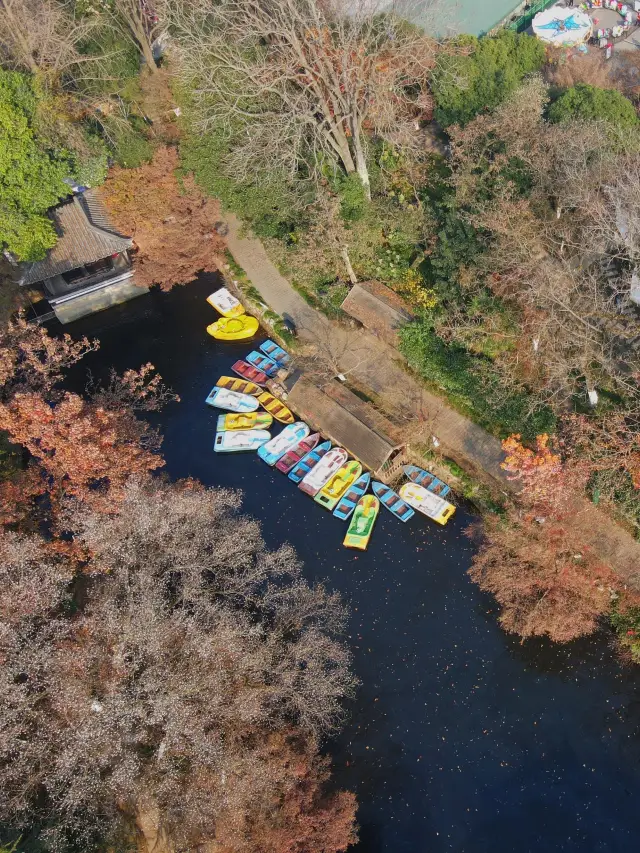 こんにちは～初冬の虞山公園です