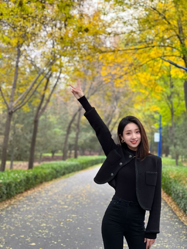 秋冬版City walk｜來太原森林公園踩樹葉啦！