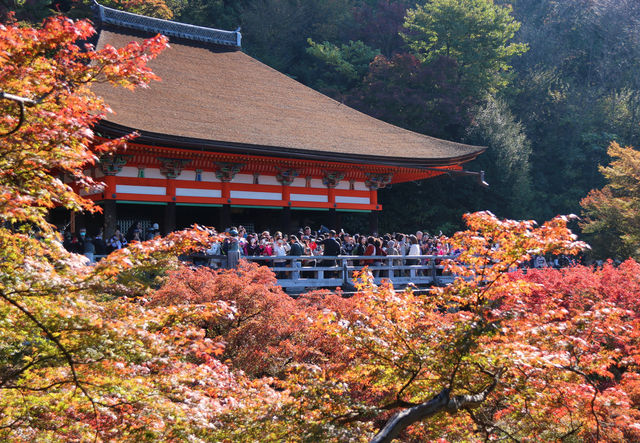 紅葉季必湊熱鬧的清水寺和南禪寺