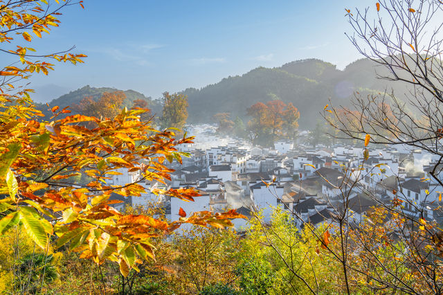 婺源｜石城紅楊景區