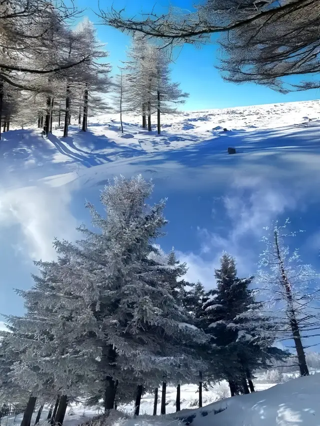 北方のシャングリラに入る | 山西の雪の町、ルヤ山