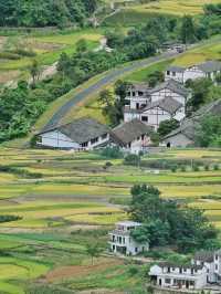 四季風景皆美貴州的大山“向雲端”