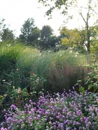 請收下這篇：辰山植物園遊園指南