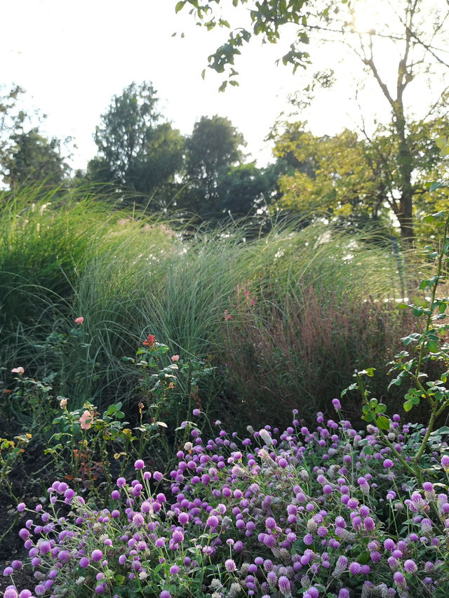 請收下這篇：辰山植物園遊園指南